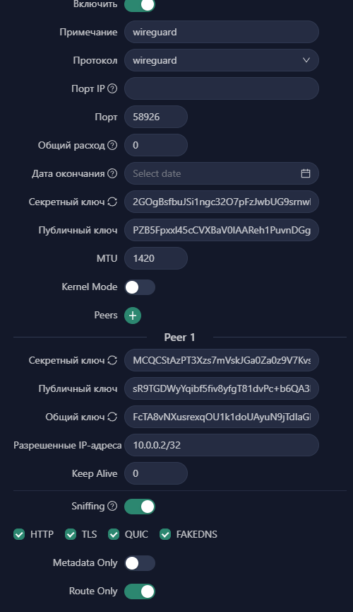 Настройка двойного VPN через 3X-UI-3.png|600